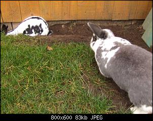 Minnie und Raj-vgg346.jpg