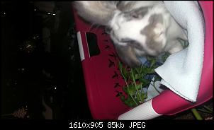Jenny und die Ninis-20151222_211356.jpg