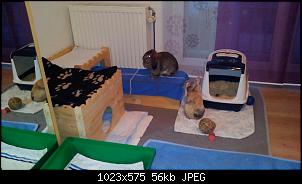 Mayla und Schnuppi-9.12-030.jpg