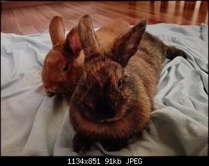 Maja und Willi-img_20151220_205254.jpg