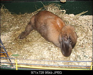 Klicke auf die Grafik f�r eine gr��ere Ansicht

Name:	Bild 001.jpg
Hits:	73
Gr��e:	94,8 KB
ID:	4387