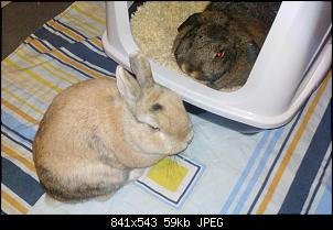 Mayla und Schnuppi-17.1.16-016.jpg