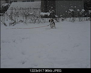 Winterimpressionen-cimg4175.jpg