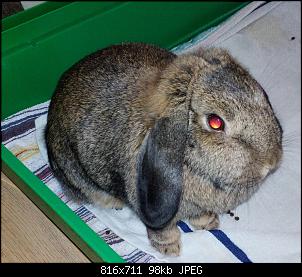 Mayla und Schnuppi-januar-9.2.16-004.jpg
