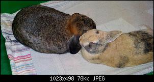 Mayla und Schnuppi-januar-9.2.16-018.jpg