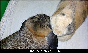 Mayla und Schnuppi-januar-9.2.16-019.jpg