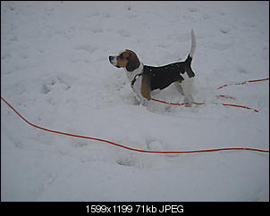 Winterimpressionen-cimg4186.jpg