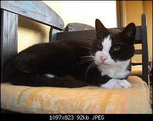 Wir stellen uns vor :)-dscf1346.jpg