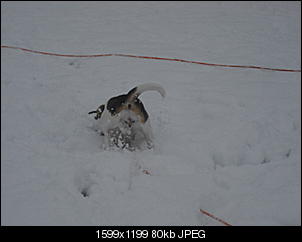 Winterimpressionen-cimg4204.jpg