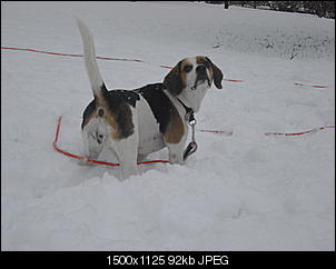 Winterimpressionen-cimg4207.jpg
