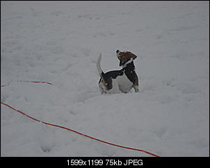 Winterimpressionen-cimg4224.jpg