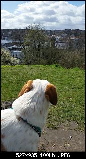 M�nnlich, ledig, jung sucht ....-2016-04-18-09.06.07.jpg
