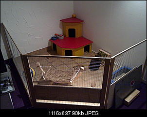 Hallo an alle-23122010163%5B1%5D.jpg