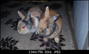 Micky und ihre zwei Zwergenjungs :)-20160109_145144.jpg