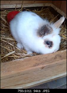 So dann will ich jetzt auch mal :-)-snowy.jpg