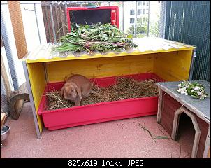 Maddros hoppelnde Fellb�schel-img_20160513_224606_135.jpg