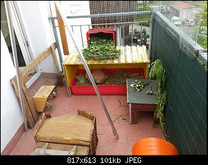 Maddros hoppelnde Fellb�schel-img_20160513_224321_767.jpg