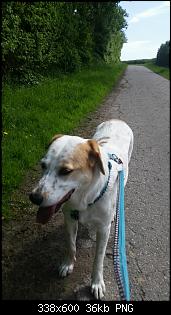 M�nnlich, ledig, jung sucht ....-2016-05-24-09.00.24.jpg