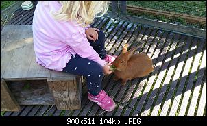 Auf dem Kaninchentrip-20160518_164307.jpg