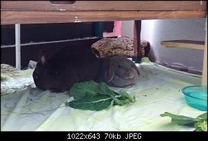 Mayla und Schnuppi-31.5.16-014.jpg