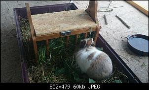Welcome Cookie & Milli-2015042518034100.jpg