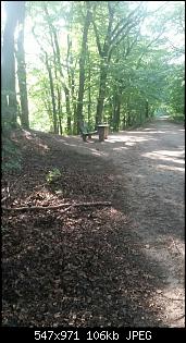 M�nnlich, ledig, jung sucht ....-2016-06-09-21.30.15.jpg