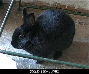 Hallo =)-fluse.jpg