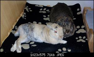 Mayla und Schnuppi-ende-juni-2016-015.jpg