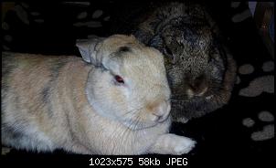 Mayla und Schnuppi-ende-juni-2016-016.jpg