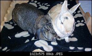 Mayla und Schnuppi-30.6.16-004.jpg