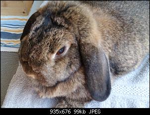 Mayla und Schnuppi-3.7.16-003.jpg