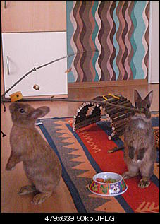 The eleven munchmachines oder Santascorpio's Thread-sany2008.jpg
