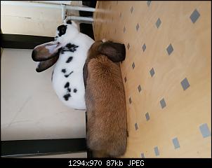 Schnuffel & Pupsik-20160712_121645.jpg
