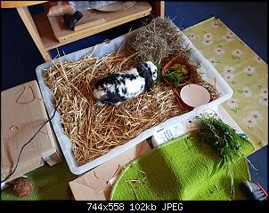 Hallo bin Neu hier.-20160609_154049.jpg