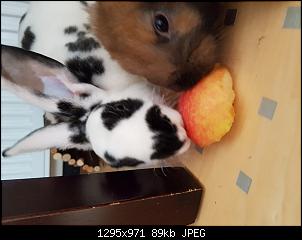Schnuffel & Pupsik-20160712_112125.jpg