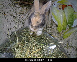 Fynni kriegt 'ne Freundin-02012011466.jpg