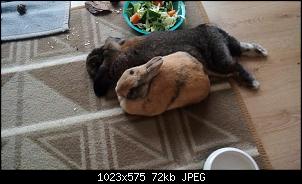 Mayla und Schnuppi-22.7.16-004.jpg