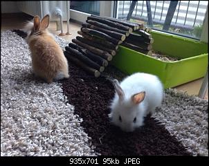 Hallo, wir sind Kuba und L�tje!-img_3029.jpg