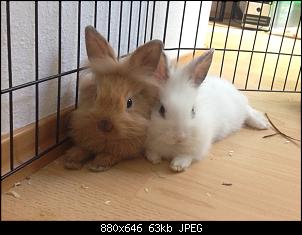 Hallo, wir sind Kuba und L�tje!-img_3166.jpg