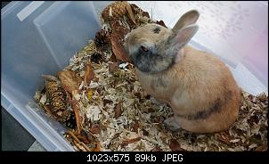 Mayla und Schnuppi-26.7.2016-006.jpg