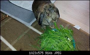 Mayla und Schnuppi-29.7.2016-004.jpg