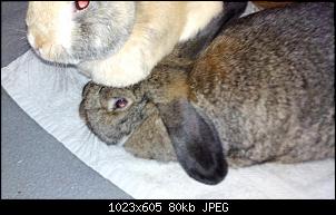 Mayla und Schnuppi-29.7.2016-008.jpg