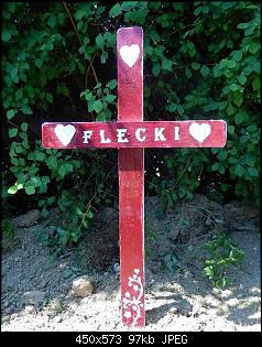 Sofiea & die Sonnenkaninchen stellen sich vor-fleckikreuz.jpg