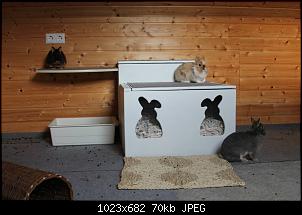 Die Schwabenninis sind jetzt hier :-)-img_2337.jpg
