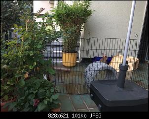 Thronst du schon oder wohnst du noch?-img_0159.jpg