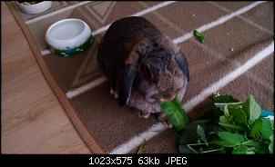 Mayla und Schnuppi-7.8.16-002.jpg