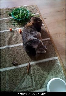 Mayla und Schnuppi-7.8.16-016.jpg