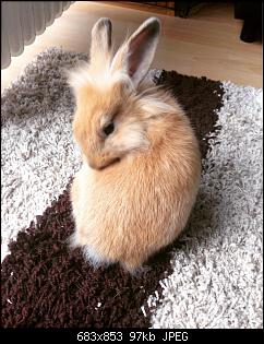 Hallo, wir sind Kuba und L�tje!-img_3502.jpg