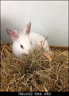 Hallo, wir sind Kuba und L�tje!-img_3380.jpg