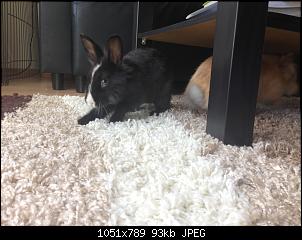 Hallo, wir sind Kuba und L�tje!-foto-10.08.16-15-54-46.jpg